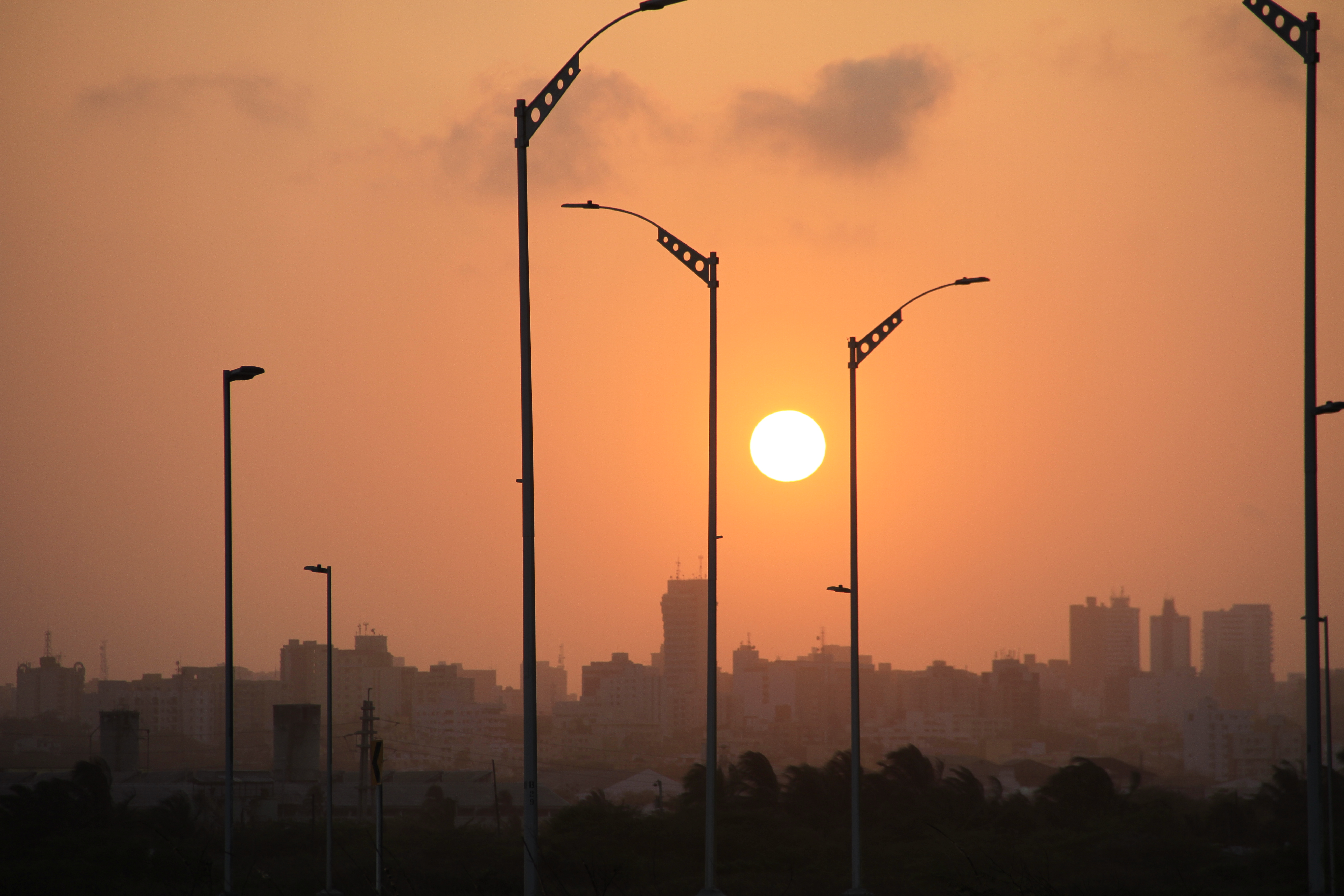Imagen de presentación de MALEC&Oacute;N DE LA AVENIDA DEL R&Iacute;O