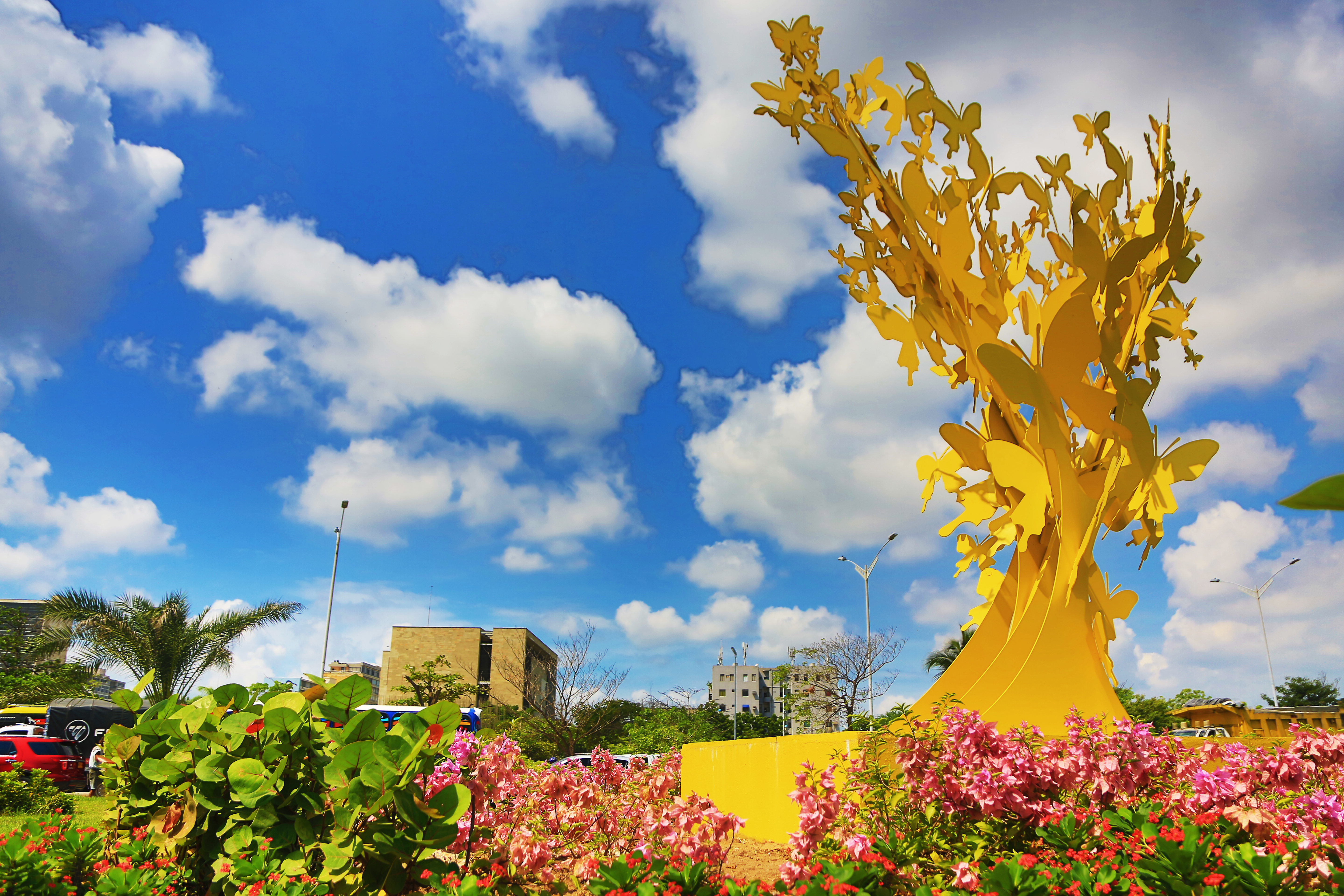 Imagen de presentación de MARIPOSAS AMARILLAS