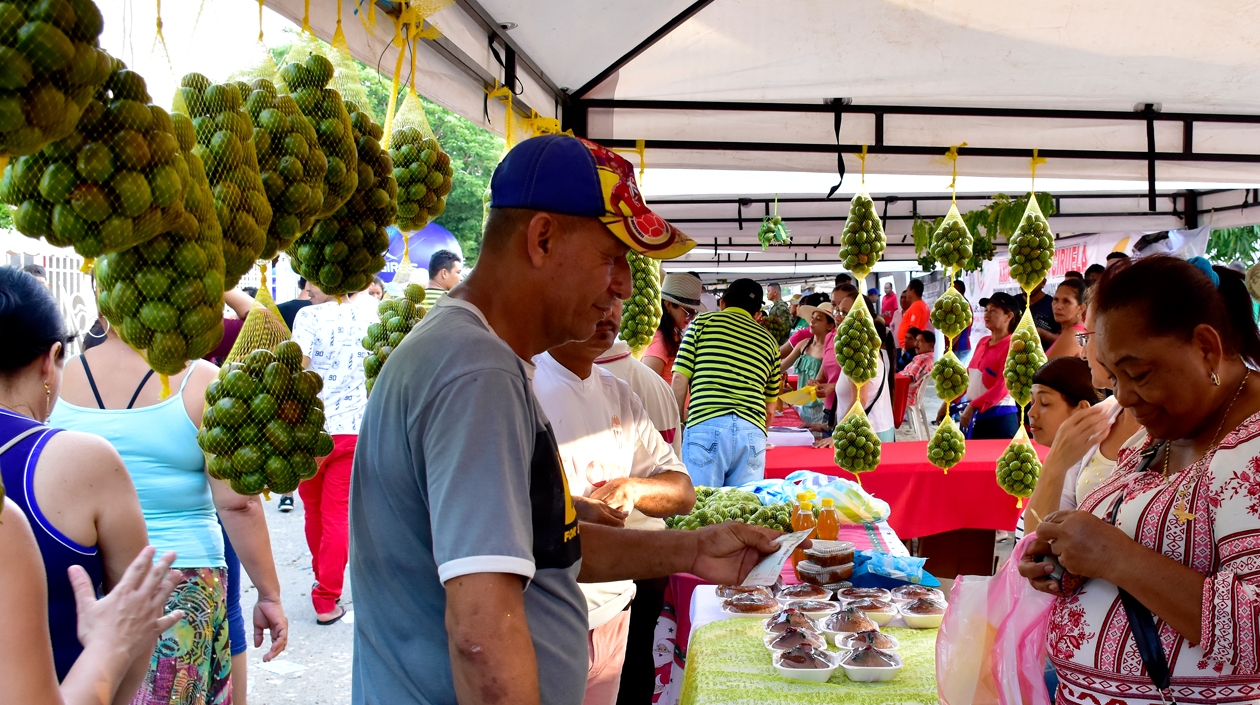Imagen de presentación de Festival de la Ciruela